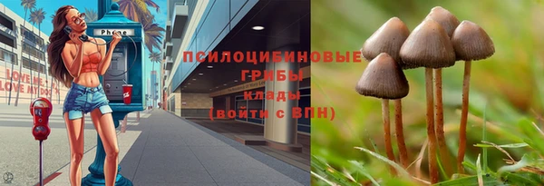 героин Алзамай