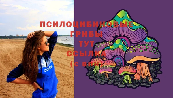 героин Алзамай